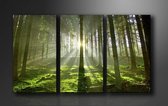 Peintures sur toile (Décoration murale salon / chambre) - Peinture Forêt Vert Nature - 160 x 90 cm 3-Liège