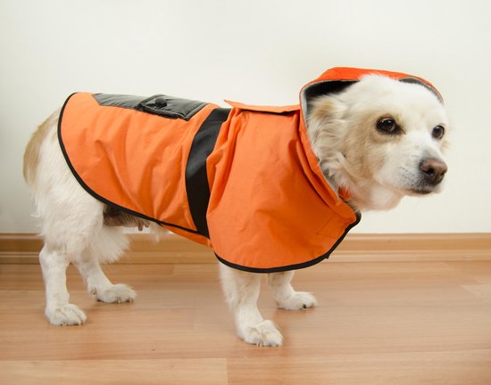 Aquatolia Honden Kleding, Aquatolia hond regenjas - Oranje | bol.com