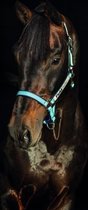 Horseware Field Safe Headcollar Lichtblauw Pony