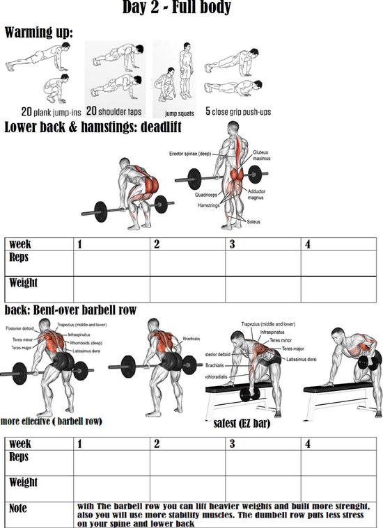 mengsel schors Nu Full Body workout training schema | bol.com