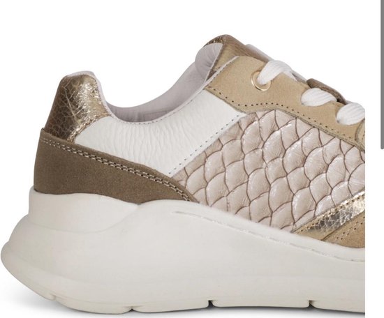Shoecolate Sneaker Beige 8.11.04.200 | Le Ballon