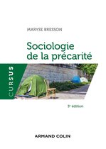 Sociologie de la précarité - 3e éd.