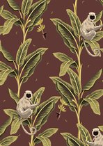 Cadeaupapier Jungle Aap K601967- Breedte 50 cm - 200m lang