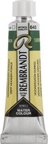 Rembrandt Aquarelverf Tube 10 ml Hookersgroen Donker 645