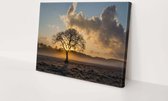Douwveld met boom | 150 x 100 CM | Canvasdoek voor buiten | Schilderij | Outdoor | Tuindoek