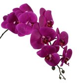 Viv! Home Luxuries Orchidee Phalaenopsis - zijden bloem - paars - 86cm - topkwaliteit