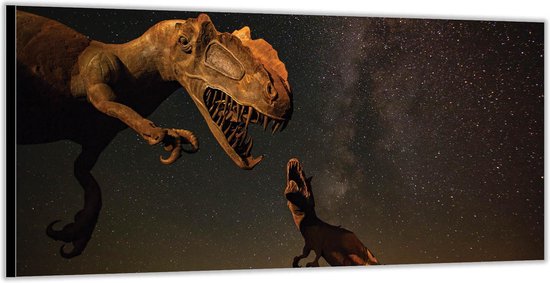 Dibond -Dinosaurussen in de Nacht- Foto op Aluminium (Wanddecoratie van metaal)