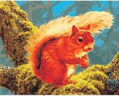 JDBOS ® Schilderen op nummer Volwassenen - Eekhoorn in de boom - Paint by numbers - Verven volwassenen - 40x50 cm