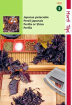 2 stuks - Hortitops - Perilla Crispum Paarsbladig Shiso