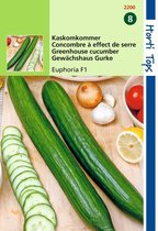 2 stuks Hortitops Komkommers Euphoria F1