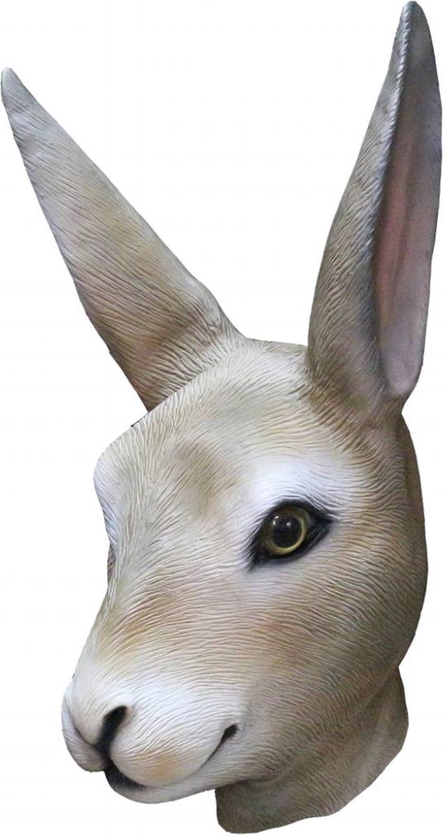 Konijnmasker