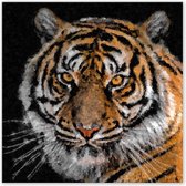 Graphic Message - Tuin Schilderij op Outdoor Canvas - Edelsteen Tijger - Buiten - Tuinposter - Schuttingposter op Houten Frame - Tuindecoratie