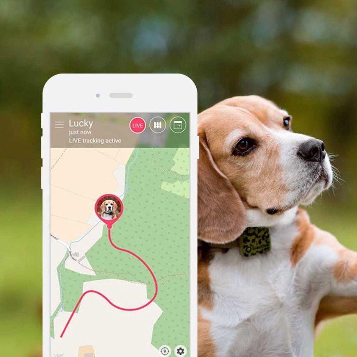 Tractive GPS Tracker Hond Nr. 1 GPS huisdieren tracker voor hond