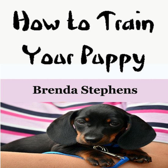 How to Train Your Puppy - cover