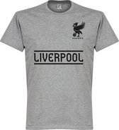 Liverpool Team T-Shirt - Grijs - L