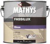 Mathys Fassilux aqua XPE gloss Wit 1 l