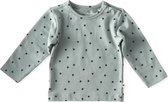 Little Label - baby shirt lange mouw - greenblue clover - maat: 68 - bio-katoen