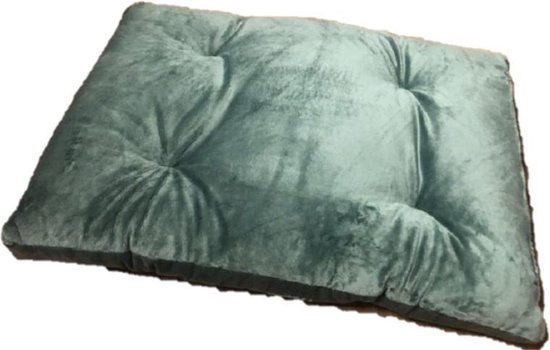 Boefje Hondenkussen – 60 x 80 cm – Fluweel – Lichtgroen