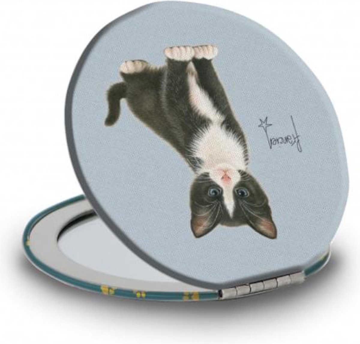 Reisspiegel: Franciens Kittens, Francien van Westering