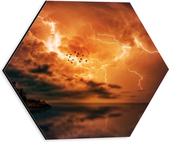 Dibond Hexagon - Water - Einlandje - Dieren - Vogels - Onweer - Oranje - 30x26.1 cm Foto op Hexagon (Met Ophangsysteem)