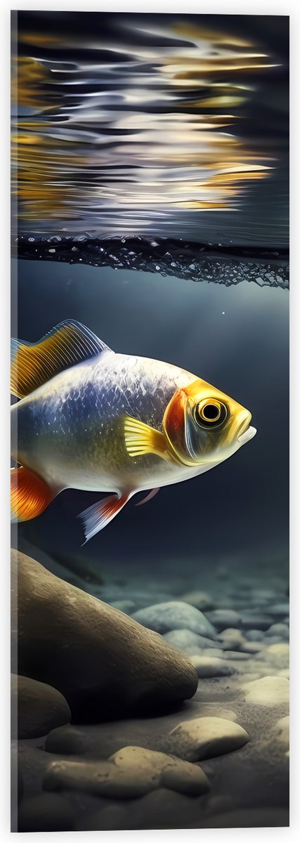 Acrylglas - Zilver met Oranjekleurige Vis Zwemmend in Aquarium - 20x60 cm Foto op Acrylglas (Met Ophangsysteem)