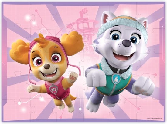 Paw Patrol Schwimmboot Skye Everest - Aufblasbar 100cm Rosa