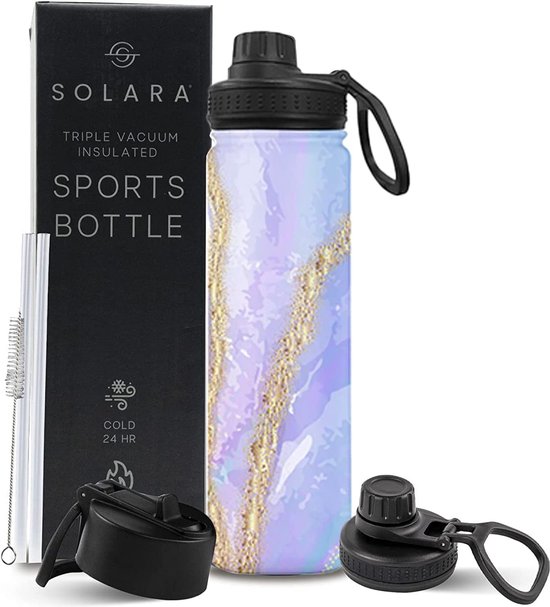 Metalen waterflessen met rietje, 650 ml, vacuümgeïsoleerde waterfles, 22 oz roestvrij...