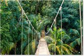 Muurdecoratie Jungle - Palmboom - Brug - Natuur - Planten - 180x120 cm - Tuinposter - Tuindoek - Buitenposter