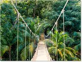 Muurdecoratie buiten Jungle - Palmboom - Brug - Natuur - Planten - 160x120 cm - Tuindoek - Buitenposter