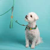 DWAM Dog with a Mission Hondenriem – Riem voor honden – Turquoise – Leer – XXS – 220 x 0,8 cm – Extra Lange Rich Turquoise