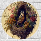 Muursticker Cirkel - Koolmees Vogel in het Nest Versierd met Bloemen - 40x40 cm Foto op Muursticker