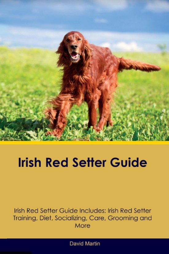 Irish Red Setter Guide Irish Red Setter Guide Includes (ebook), David Martin bol