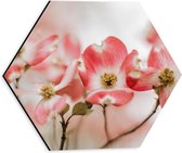 Dibond Hexagon - Bloemen - Takken - Roze - 30x26.1 cm Foto op Hexagon (Met Ophangsysteem)