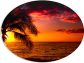 PVC Schuimplaat Ovaal - Zonsondergang bij de Zee - 80x60 cm Foto op Ovaal (Met Ophangsysteem)