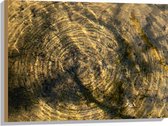 Hout - Vies Water met Regendruppels - 80x60 cm - 9 mm dik - Foto op Hout (Met Ophangsysteem)