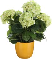 Hortensia kunstplant/kunstbloemen 45 cm - groen - in pot okergeel glans - Kunst kamerplant