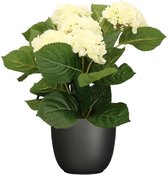 Hortensia kunstplant/kunstbloemen 36 cm - wit - in pot zwart mat - Kunst kamerplant