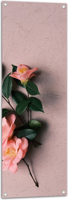 Tuinposter – Bloem - Bladeren - Muur - Roze - 40x120 cm Foto op Tuinposter (wanddecoratie voor buiten en binnen)
