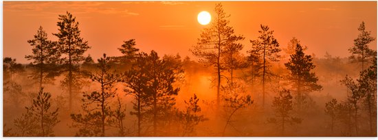 Poster Glanzend – Zonsopkomst bij Bos met Bomen Vol met Mist - 150x50 cm Foto op Posterpapier met Glanzende Afwerking
