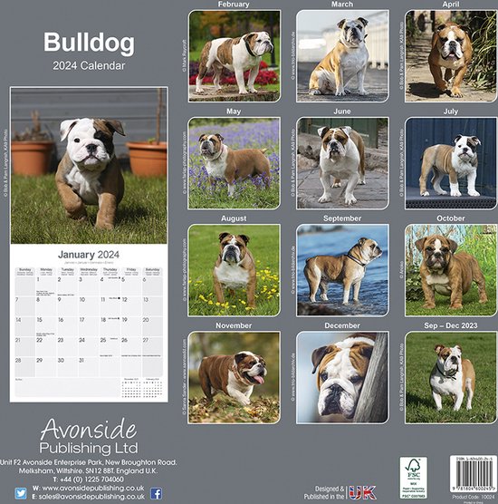 Engelse Bulldog Kalender 2024 bol