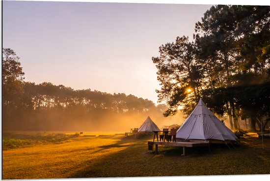 Dibond - Tippie Tenten op Vlakte bij Bos - 90x60 cm Foto op Aluminium (Met Ophangsysteem)