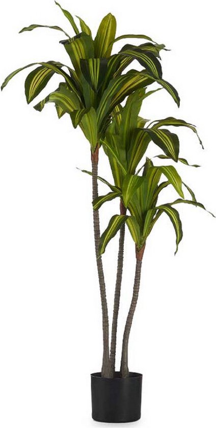 Decoratieve plant Groen Plastic (70 x 120 x 70 cm)