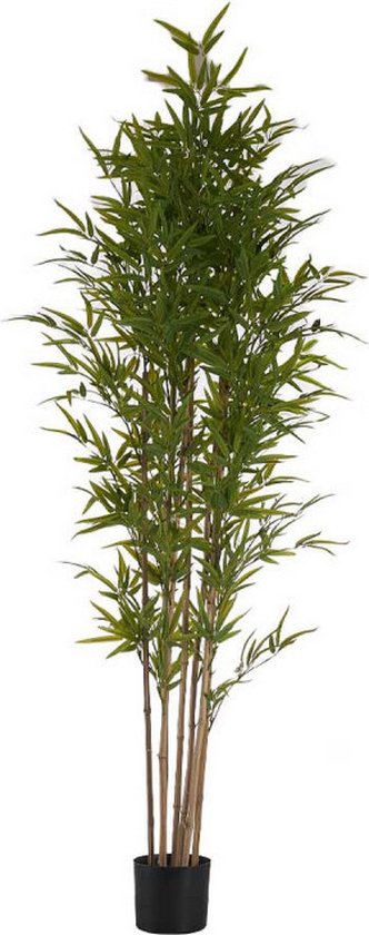 Decoratieve plant Bamboe Groen Plastic (80 x 180 x 80 cm)