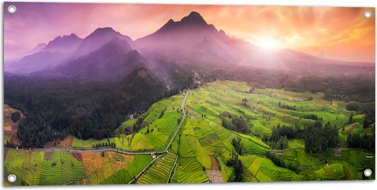 Tuinposter – Uitzicht over de Rijstvelden in het Indonesische Landschap - 100x50 cm Foto op Tuinposter (wanddecoratie voor buiten en binnen)