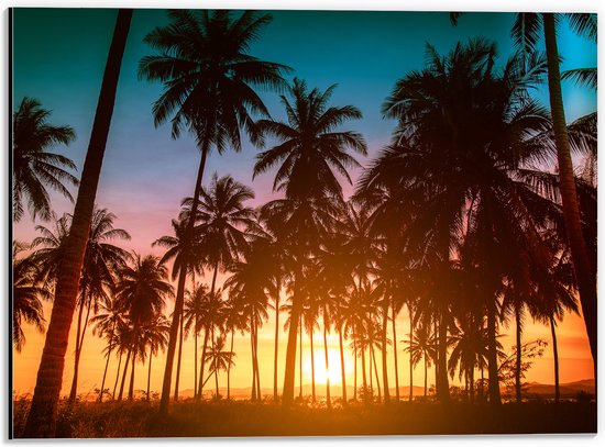 Dibond - Silhouet van Vele Palmbomen tijdens Meerkleurige Zonsondergang - 40x30 cm Foto op Aluminium (Wanddecoratie van metaal)