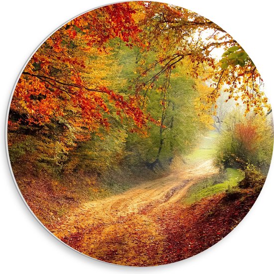 PVC Schuimplaat Muurcirkel - Pad - Bomen - Bossen - Planten - Herfst - 30x30 cm Foto op Muurcirkel (met ophangsysteem)