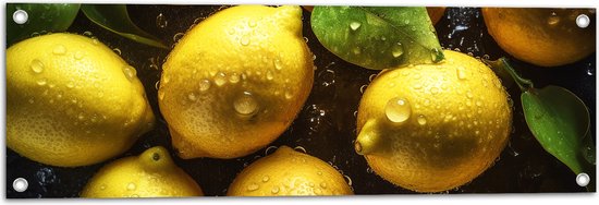Tuinposter – Gele Citroenen - 90x30 cm Foto op Tuinposter (wanddecoratie voor buiten en binnen)