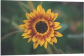 Vlag - Gele Zonnebloem - 90x60 cm Foto op Polyester Vlag