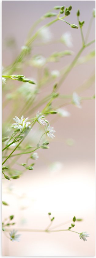 Poster Glanzend – Bloemen - Planten - Natuur - Groen - Wit - 30x90 cm Foto op Posterpapier met Glanzende Afwerking