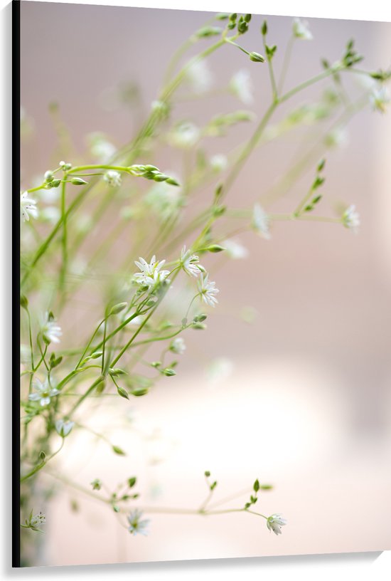 Canvas - Bloemen - Planten - Natuur - Groen - Wit - 100x150 cm Foto op Canvas Schilderij (Wanddecoratie op Canvas)